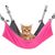 Zoomtopia Hamac suspendu pour chat et chiot