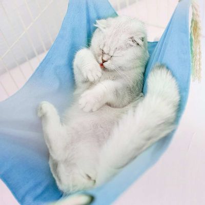 Pawzy Hamac en lin rose pour chat - Lavable