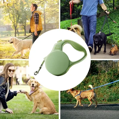 Zoomtopia Chaîne rétractable pour chien