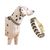 Zoomtopia Collier mains libres et laisse pour chien