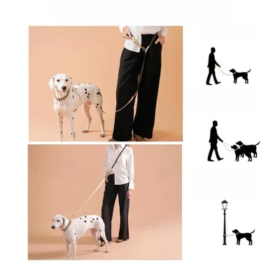 Zoomtopia Collier mains libres et laisse pour chien