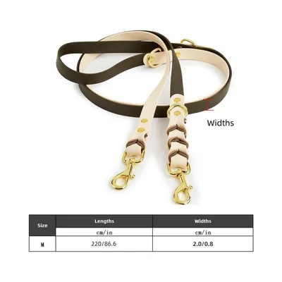 Zoomtopia Collier mains libres et laisse pour chien