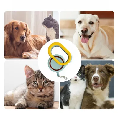 Zoomtopia Laisse rétractable pour animaux