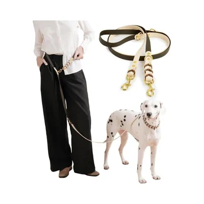 Zoomtopia Collier mains libres et laisse pour chien