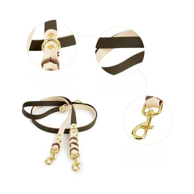 Zoomtopia Collier mains libres et laisse pour chien