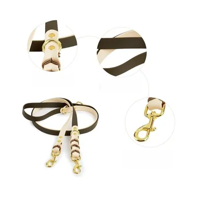 Zoomtopia Collier mains libres et laisse pour chien