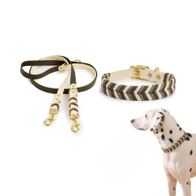 Zoomtopia Freisprech-Halsband und Leine für Hunde