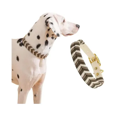 Zoomtopia Collier mains libres et laisse pour chien