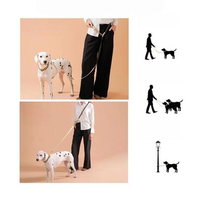 Zoomtopia Collier mains libres et laisse pour chien