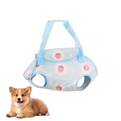 Zoomtopia Petit sac à main avec bandoulière pour chiens