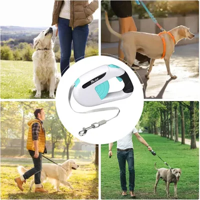 Pawzy Corde de traction pour animaux
