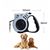 Pawzy Corde de traction pour chien auto - extensible avec lumière USB
