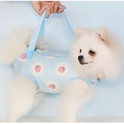 Zoomtopia Petit sac à main avec bandoulière pour chiens