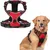 Zoomtopia Harnais pour grand chien Zoomtopia Harnais pour grand chien