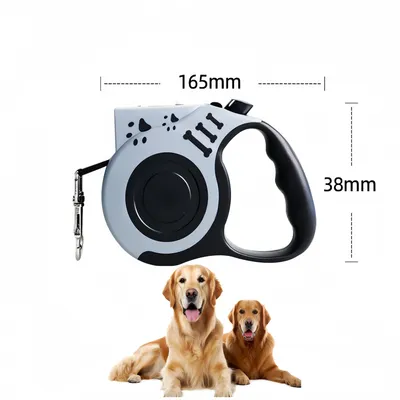 Pawzy Corde de traction pour chien auto - extensible avec lumière USB