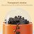 Pawzy Distributeur lent interactif pour chien/chat