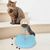Pawzy Cat Toy: Ball Dispenser - Léger, interactif, divertissant