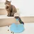 Pawzy Cat Toy: Ball Dispenser - Léger, interactif, divertissant