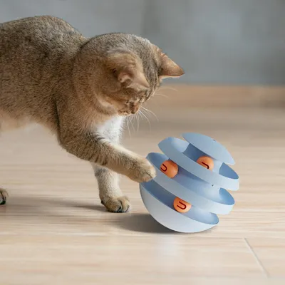 Pawzy Piste de balle pour chat : Puzzle roulant, divertissement actif