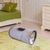 Pawzy Tunnel interactif pour chat avec balle