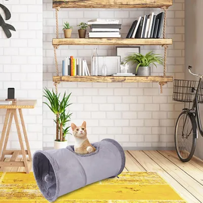 Pawzy Tunnel interactif pour chat avec balle