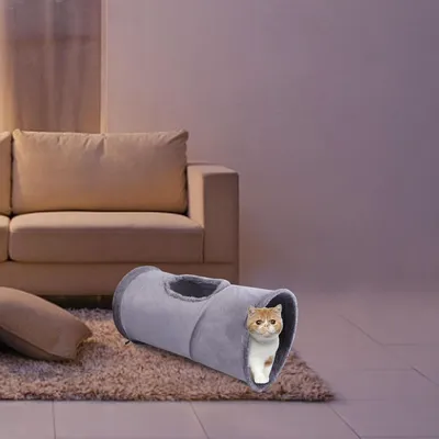 Pawzy Tunnel interactif pour chat avec balle
