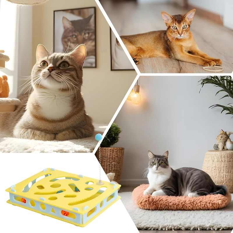 Pawzy Labyrinthe interactif pour chat