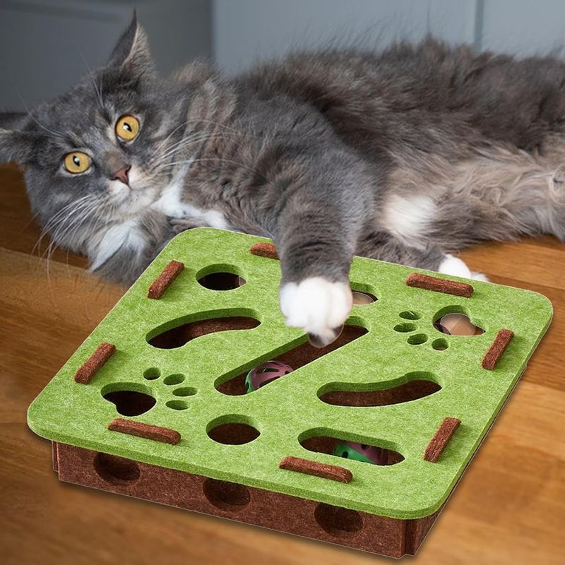 Pawzy Distributeur de friandises intelligent pour animaux - Jeu anti-ennui