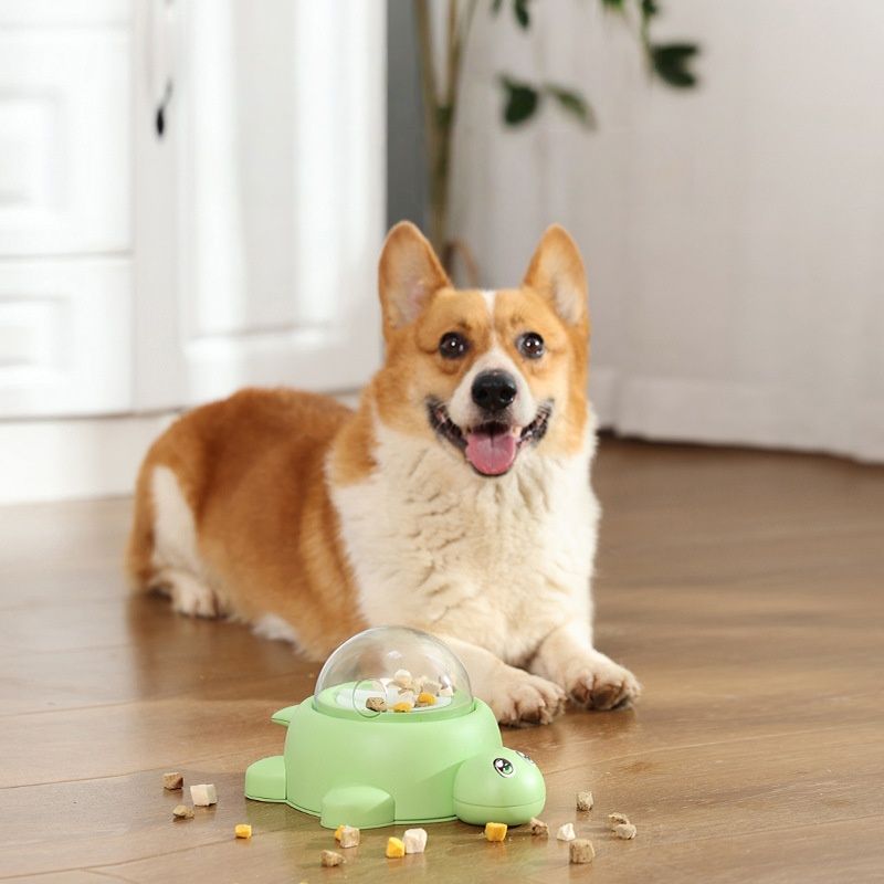 Pawzy Jeu éducatif pour chien – Développe réflexes et intelligence
