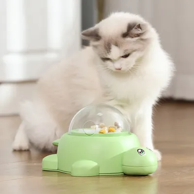 Pawzy Jeu éducatif pour chien – Développe réflexes et intelligence