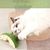 Pawzy Brosse de massage murale autonome pour chat