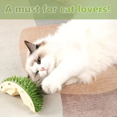 Pawzy Brosse de massage murale autonome pour chat