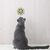 Pawzy Boules murales pour chats - Jouets interactifs adhésifs