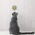Pawzy Boules murales pour chats - Jouets interactifs adhésifs