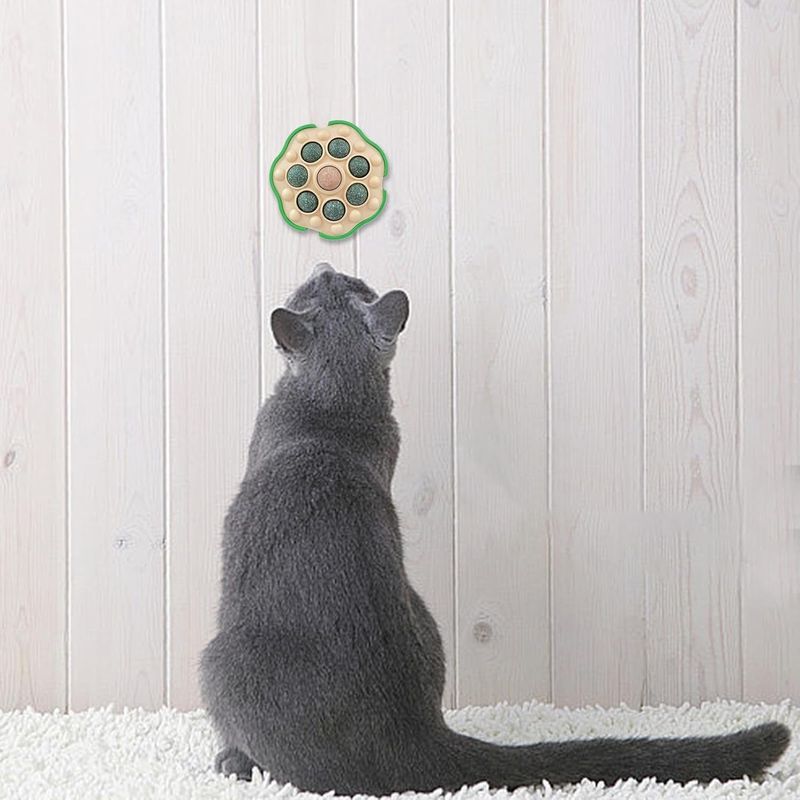 Pawzy Boules murales pour chats - Jouets interactifs adhésifs