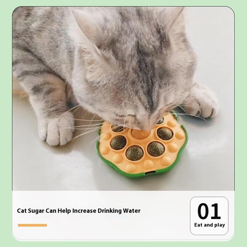Pawzy Boules murales pour chats - Jouets interactifs adhésifs