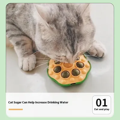 Pawzy Boules murales pour chats - Jouets interactifs adhésifs