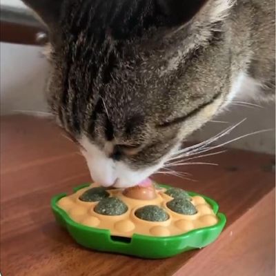 Pawzy Boules murales pour chats - Jouets interactifs adhésifs