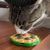 Pawzy Boules murales pour chats - Jouets interactifs adhésifs