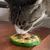Pawzy Boules murales pour chats - Jouets interactifs adhésifs