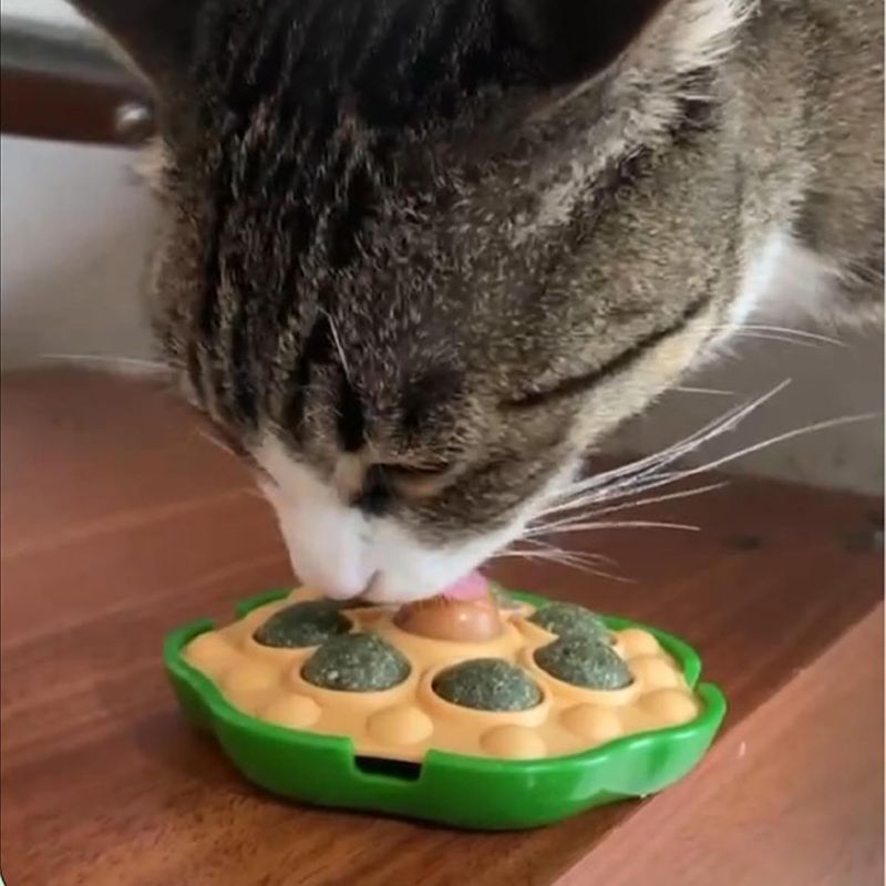 Pawzy Boules murales pour chats - Jouets interactifs adhésifs