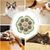 Pawzy Boules murales pour chats - Jouets interactifs adhésifs