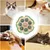 Pawzy Boules murales pour chats - Jouets interactifs adhésifs