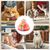 Pawzy Tour à boules interactive pour chats