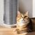 Pawzy Grattoir avec herbe à chat intégrée - Fixation facile
