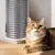 Pawzy Grattoir avec herbe à chat intégrée - Fixation facile