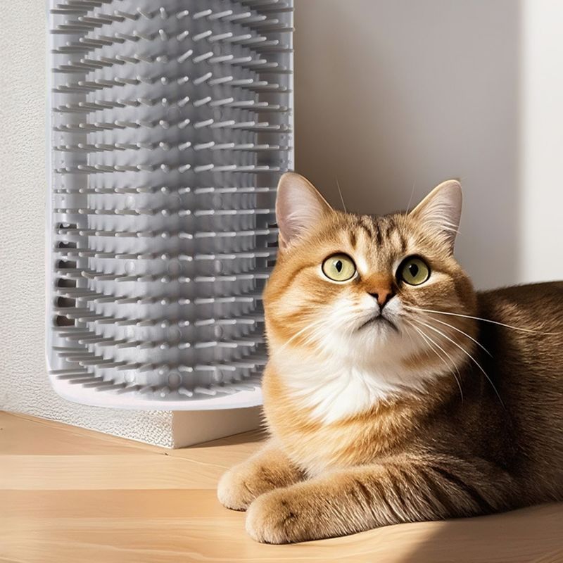Pawzy Grattoir avec herbe à chat intégrée - Fixation facile
