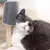 Pawzy Grattoir avec herbe à chat intégrée - Fixation facile
