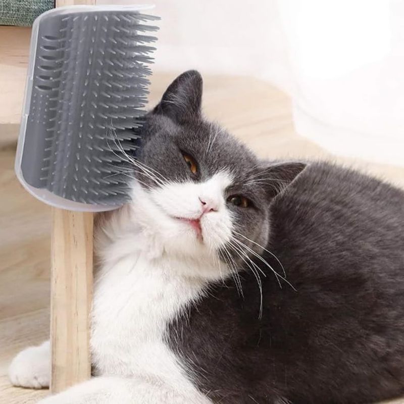 Pawzy Grattoir avec herbe à chat intégrée - Fixation facile