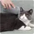 Pawzy Grattoir avec herbe à chat intégrée - Fixation facile